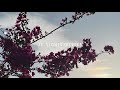 SANG RAHIYO Slowed Reverb