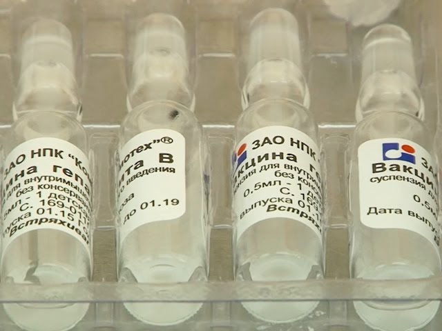 Бояться ли кори ангарчанам?