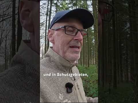 Peter & der Wald: Jagd – Öko-Notwendigkeit im Forst?