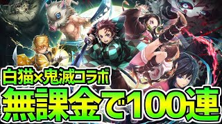 【白猫プロジェクト】『鬼滅の刃コラボ』の為に無課金で１００連分のジュエルを3日で集めたので初心者の人はぜひ参考にしてください！！！（花江ボイス）【鬼滅コラボ】【竈門炭治郎】【禰豆子】