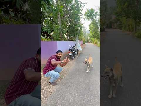 ഇവൻ തന്നെയാ അവൻ #keralafishing #shorts