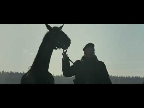 Bringing up the Guns   War Horse