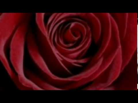 Meine Zeit Mit Dir ♥ Horst Frank (lyrics)