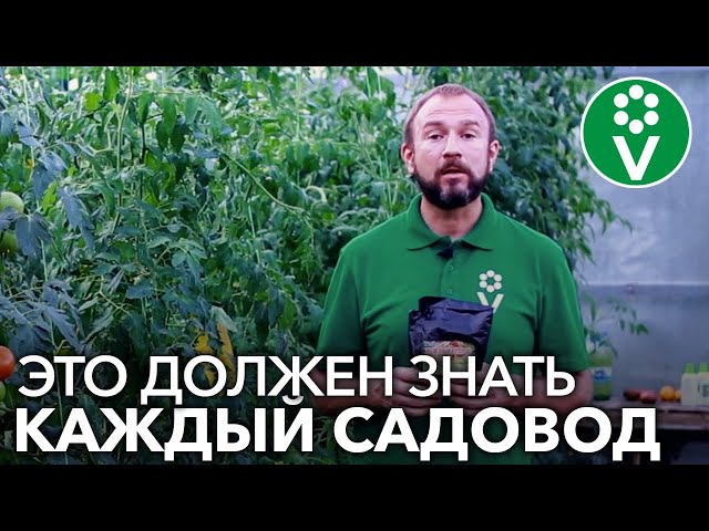 НЕ ИСПОЛЬЗУЙТЕ ЖЕЛЕЗНЫЙ КУПОРОС, пока не узнаете это важное правило!