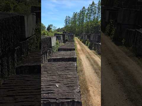 parece cenário de filme Pátio ferroviário localizado entre Carmo da mata e Oliveira MG