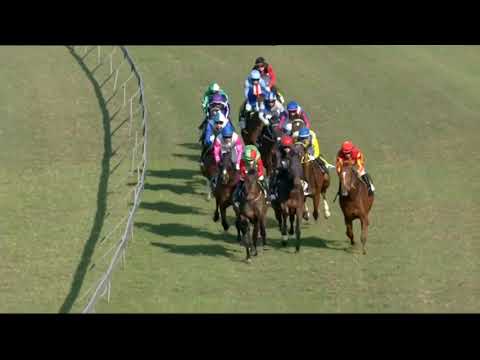 2021.07.31 Gold Cup (RSA) - Nebraas