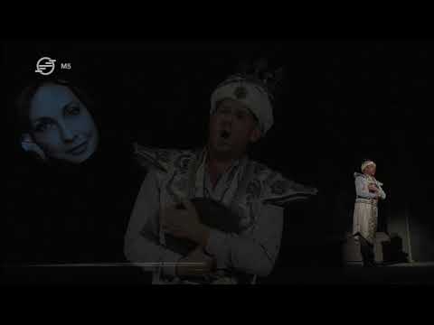 Daniel Pataky - Die Zauberflöte /Tamino Arie/ Ausschnitt