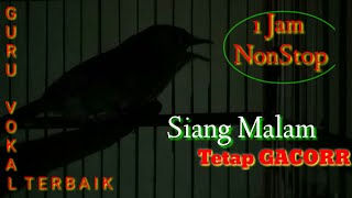 Download lagu 1 JAM NONSTOP FLAMBOYAN GACOR NGEBREN PANJANG ISTIMEWA buat PANCINGAN dan MASTERAN Terbaru mp3 Download lagu 1 JAM NONSTOP FLAMBOYAN GACOR NGEBREN PANJANG ISTIMEWA buat PANCINGAN dan MASTERAN Terbaru mp3