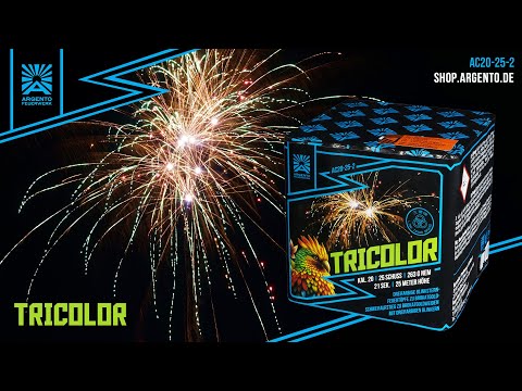 "Tricolor" - 25Sh 20mm Brokatgoldweiden + dreifarbige Blinker [Batch 2024]