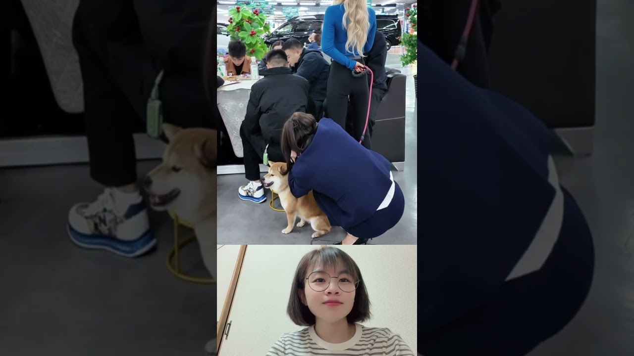 犬チェンジ🤣#music #love #song #coversong #singersongwriter #trump #duet #웃긴영상 #한국쇼츠 #유머 #짧은영상