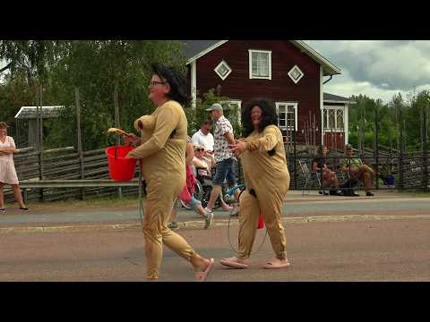 CARNIVAL IN VENJAN 2024 #carnival #karneval #swedish