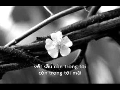Thể hiện bởi Nguyên Thảo
