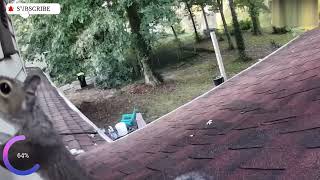The Most Disturbing Ring Doorbell Footage Ever Captured