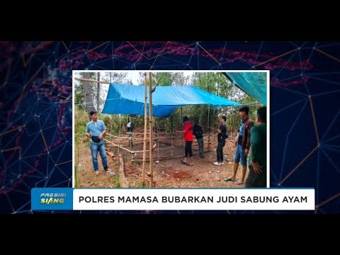 POLRES MAMASA BUBARKAN JUDI SABUNG AYAM
