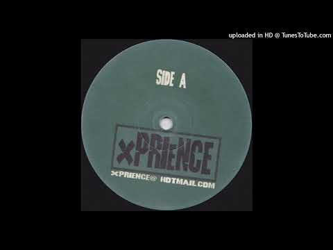 Fred Pellichero & Sandy Wilhelm - Its A Shame (Vocal)