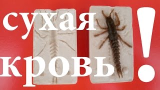 Все о съедобная резина для рыбалки своими руками