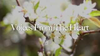Voices From The Heart