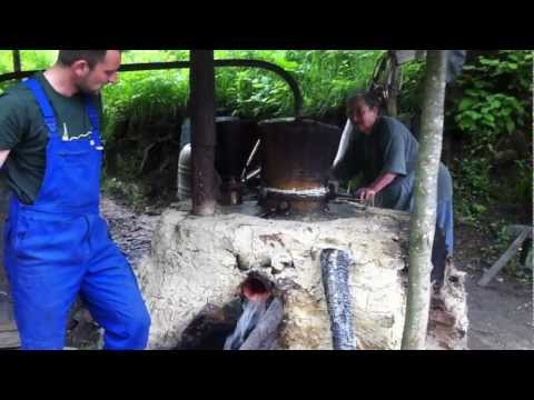 La Palincaria Cristiorul de Sus-2 tarabeiusului.ro.MOV