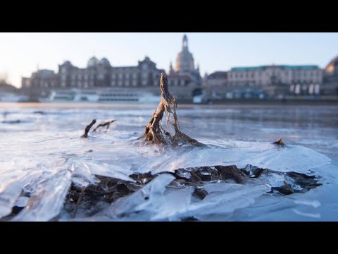 Snowfall and icy wind: Persistent frost has Germany firmly in its grip