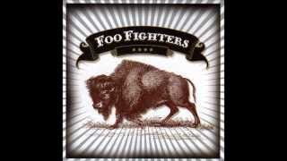 Foo Fighters - Skin and bones (good audio) with lyrics