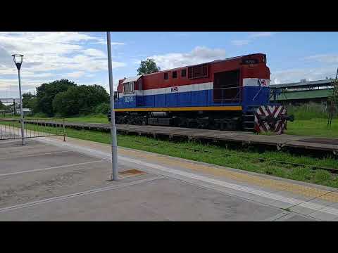 Alco (8256) liviana parte de "Estación La banda" con rumbo a "Cevil Pozo" en plena tarde 🚂🌇 🇦🇷