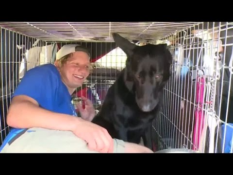 Julius och Björn: "kryp in väldigt varsamt" - Spring! (TV4)