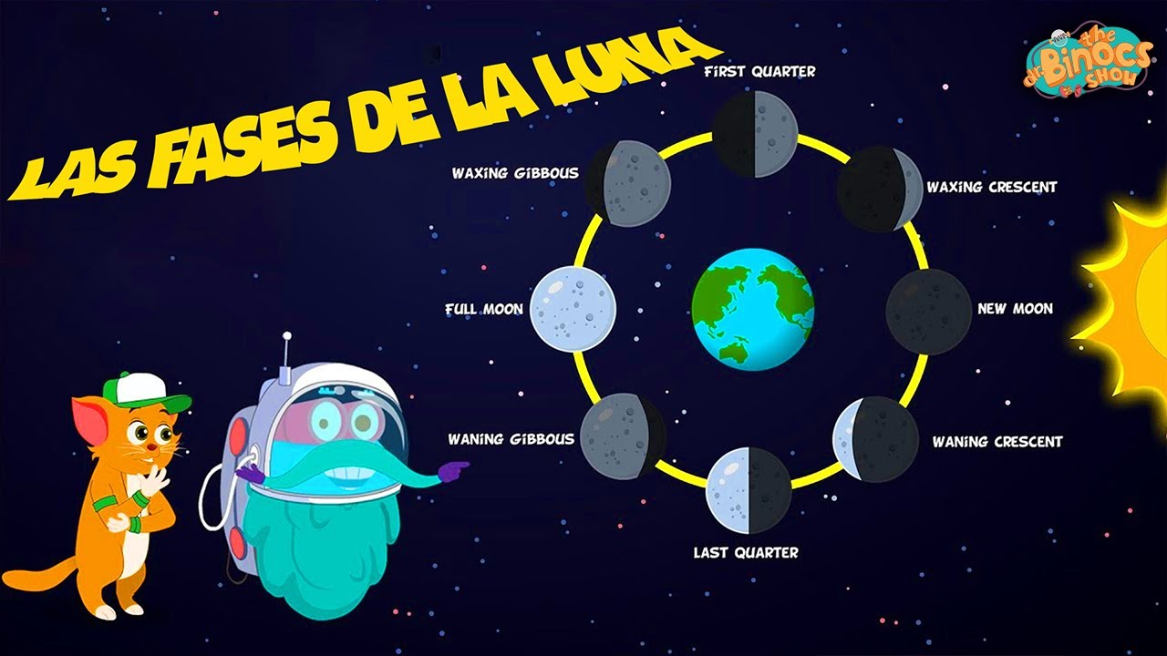 Las Fases De La Luna | Conocimientos Generales | Ciencia Para Niños | Vídeos Educativos | #learn