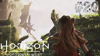 【HorizonForbiddenWest】#20 色んな部族の人を結集させてアーロイ団が出来上がっていく【過ぎ去りし時の種】