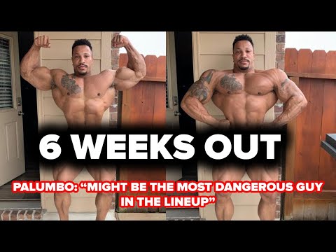 PATRICK MOORE EXCLUSIVE PROGRESS PICS!