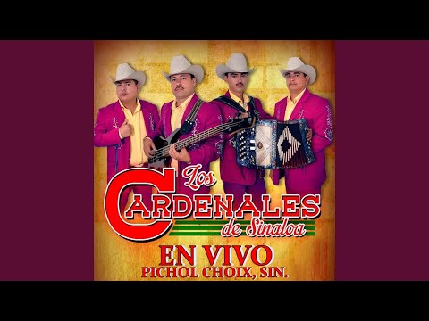 Mi Negra Suerte (En Vivo)