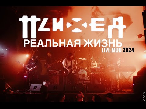 ПСИХЕЯ - РЕАЛЬНАЯ ЖИЗНЬ. LIVE MOD | Санкт-Петербург 04.04.2024 | РАЗНОЕ 4k