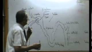 Dr Maged Endocrine 11