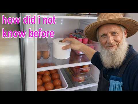 Put a Roll of Toilet paper in your Fridge  and you will be surprised what happens