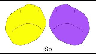 Yellow face being racist @BFDI