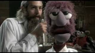 Matisyahu - I shall be released