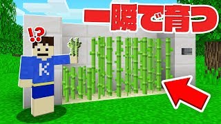 マイクラ 不吉な旗の使い道考察 マインクラフト تنزيل الموسيقى Mp3 مجانا