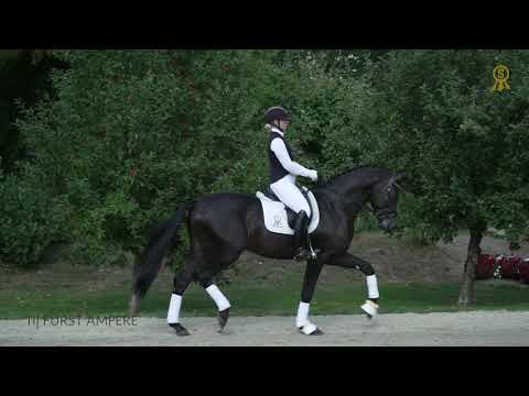 11 Fürst Ampere Deutsch