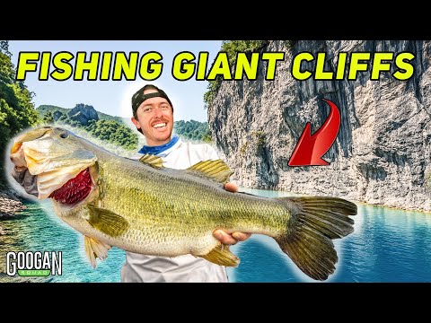 FISHING CLIFFS For GIANT BASS In MEXICO! (3v3 CHALLENGE)