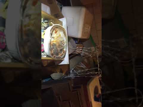 Hoarder Spencer Massachusetts 2018 needs help