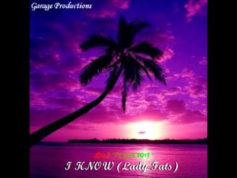 dj toa 2015 - I Know (Lady Fats) Remix