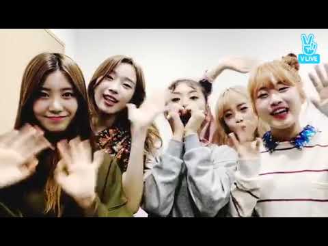 170926 GOOD DAY굿데이 하루초이스 최종 승자 결정전🔥