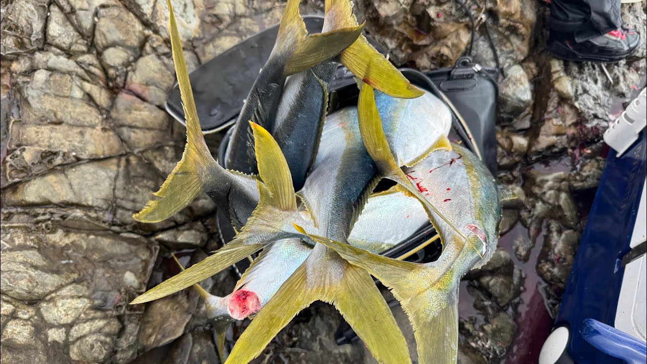 【夢の島】大荒れの伝説級SSS級磯は別格だった‼︎