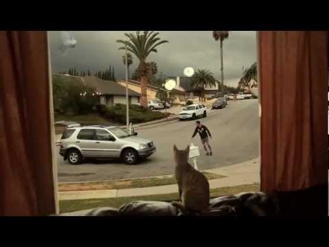 Jedi Kitten with the Force