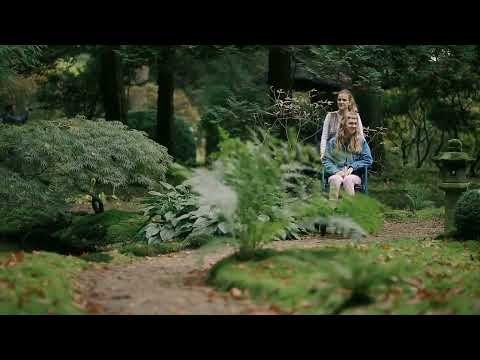 Rollz Motion Performance