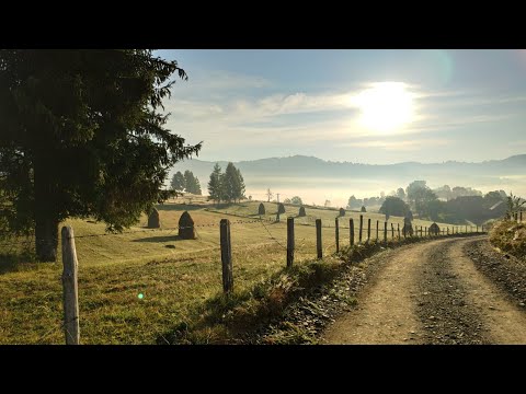 Samuel și Călin Lela  - ,,E SFÂNTA ZI A-NVIERII''