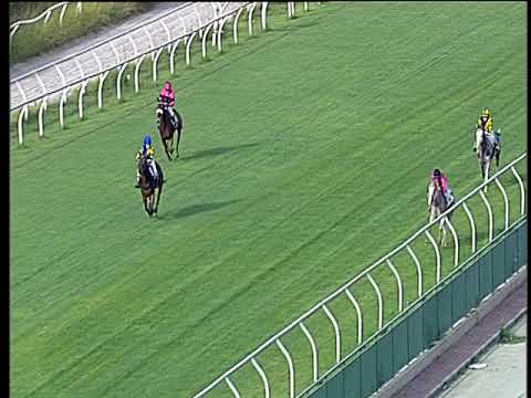 Galoppo 14/07/2018 - corsa pony