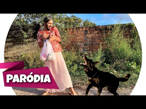 PARÓDIA | CORAÇÃO CACHORRO - ÁVINE E MATHEUS FERNANDES