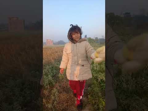 Twin chadi school janchhan