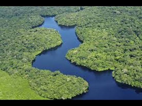 Río amazonas, un lugar apasionante