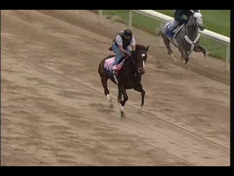 Rachel Alexandra Final Workout
